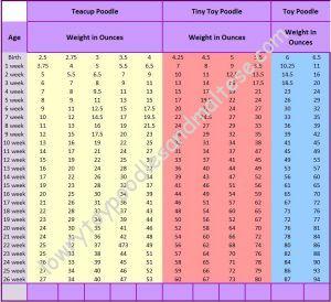 weight chart